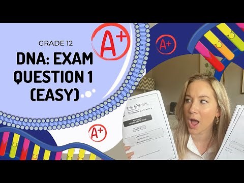 GET an A+ in EXAMS!! | How to answer | DNA Q- EASY