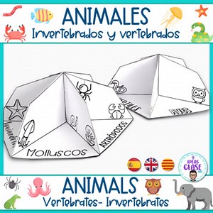 Triorama Animals: vertebrates and invertebrates. Animales