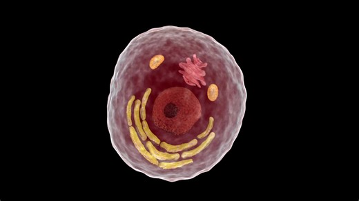 Austin Visuals Official on TikTok