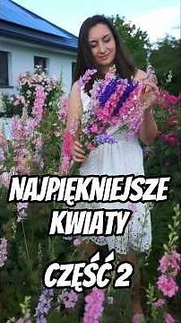 Ogród kwiatowy CYNIE, KOSMOSY, OSTRÓŻECZKI #ogród #kwiaty