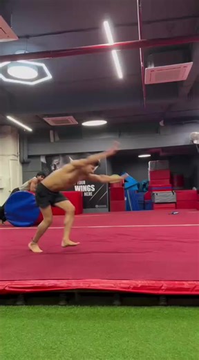 Discover the Magic of Aladdin's Kingdom