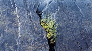 101 Famous Perseverance Slogans and Quotes