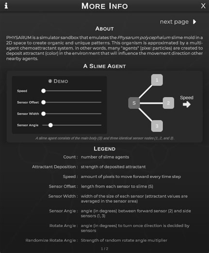 PHYSARUM: Slime Mold Simulator | Jeffrey (Ka Hin) Yuen