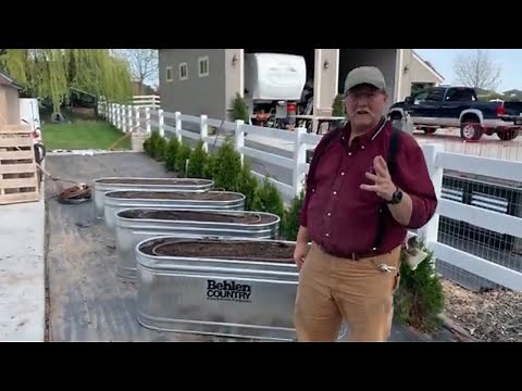 Stock Tank Raised Garden Beds