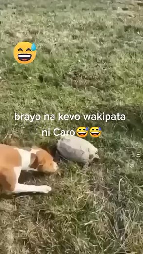 Spanner237 (@spanner237)’s videos with original sound - Spanner237