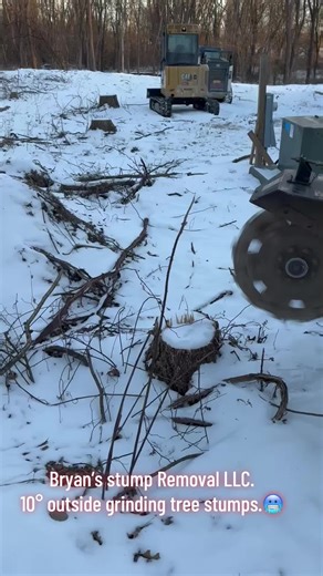 Cold Weather Stump Grinding with Bryan’s Stump Removal