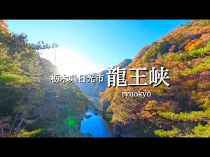 [Nikko/Tochigi Prefecture] November: "Ryuokyo Gorge" - Autumn leaves are still at their peak 🍁