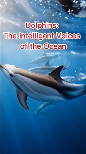 Dolphins: The Intelligent Voices of the Ocean