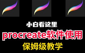 【procreate使用教程】零基础小白看过来！保姆级别procreate使用教学，手把手带你了解软件强大功能！