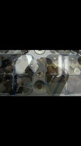 Algunos microbios, como las bacterias Deinococcus radiodurans y Desulforudis audaxviator, y los tardígrados, pueden sobrevivir en el espacio. Bacterias Deinococcus radiodurans Esta bacteria puede sobrevivir a la radiación gamma intensa del espacio. Fue descubierta en los años 50 durante experimentos con rayos gamma para esterilizar la comida. Deinococcus aerius Esta bacteria fue descubierta en la atmósfera sobre Japón, donde recibe dosis importantes de radiación. Desulforudis audaxviator Esta ba