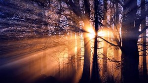 Nature, Landscape, Beautiful Wallpaper. Free Stock Video