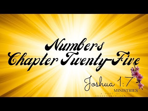Numbers Chapter 25 Modern English Version Audio Bible Reading 🎧✝️