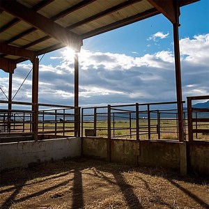 [Hot Item] Agricultural Steel Structures Prefabricated Building for Dairy Cow Broiler Farm
