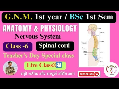 B.Sc. Nursing 1st semester & GNM 1st year ! Nervous system ! Anatomy & physiology ! Live class-6