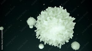 Lymphocyte (Leukocyte). Medically accurate 3D representation of an electron microscope view.