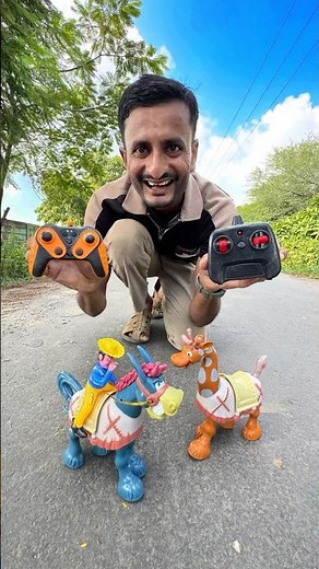 RC Horse and Donkey Unboxing 🐎 🫏