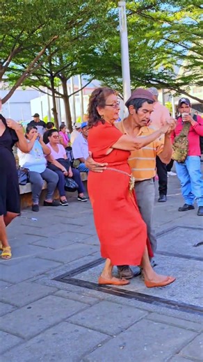 vean asi bailo cantinflas con delicadeza trato hildita y esta #música🎵🎶👏#shorts #baile #show #viral