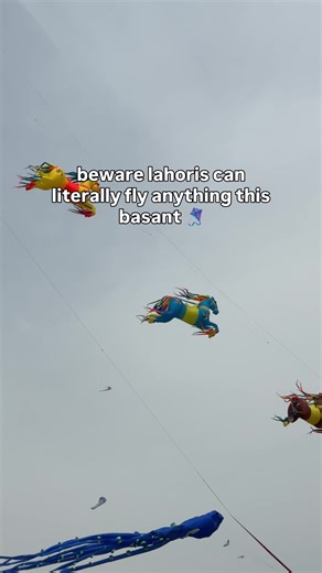 Basant in Lahore: Celebrating Kite Flying Traditions