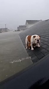 omg , thanks for helping | Sweet Things