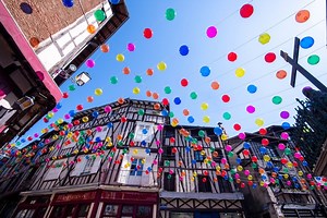 Les sites les plus visités par les touristes qui séjournent en Haute-Vienne