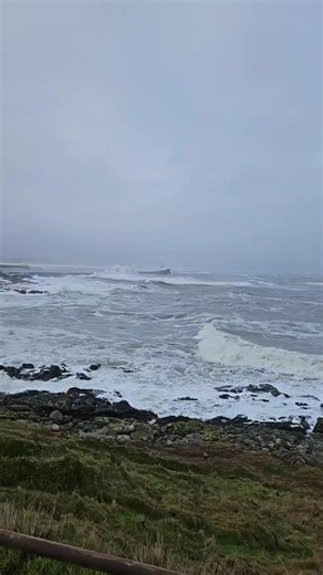 Aberdeen Harbour Tours on Reels
