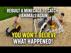 Rebuild the Mini Cage and Catch Animals Again | DIY Animal Trap Project