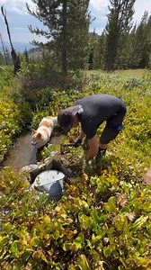 39K views · 992 reactions | Another little vid about “renovating” the...