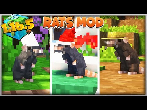RATS MOD 1.16.5: RATOS DE ESTIMAÇÃO! - TUTORIAL MINECRAFT MOD 222#(PT BR)
