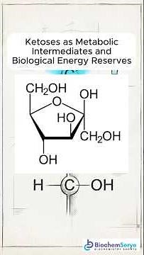 9.5 Ketoses as Metabolic Intermediates and Biological Energy Reserves