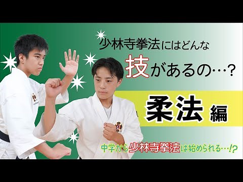 【少林寺拳法の技［柔法編］】中学から少林寺拳法は始められる…？