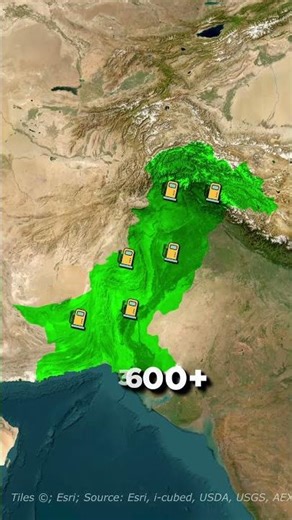 Pakistan State Oil: Dominating the Fuel Market #facts #history #shorts