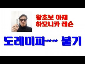 왕초보 하모니카레슨, 왕초보 도레미파 불기, 다이아토닉 하모니카, 하모니카 종류