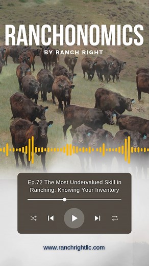 Want to make better ranch decisions with less stress? Start by knowing exactly what you own. In this new episode, John breaks down how true inventory awareness guides sell/buy decisions, improves herd planning, and gives you a clearer picture of your operation as a whole. A simple system can change everything. | Ranch Right LLC