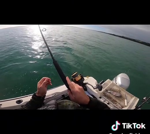 🎣 Snapper Fishing NZ | Road to 20lb Snapper EP1 - YouTube Link in Bio The journey to catch a 20lb snapper has officially started! Bad weather forced me to leave the original spot, but I hit the local Hauraki Gulf for a quick session. No big fish yet — but this is just the beginning. 👉 Target species: Snapper 👉 Gear: Shimano 4000, 6–8kg rod, mullet bait, straylining setup Follow for real New Zealand fishing adventures and the hunt for a PB snapper! #SnapperFishing #RoadTo20lbSnapper #HaurakiGu