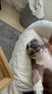 105 reactions · 20 shares | Let’s make her dream a reality!...