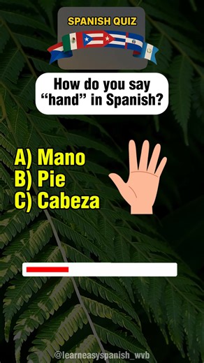 Learn to name every part of your body in Spanish and get closer to mastering real-world conversations. From head to toe, these words help you express yourself clearly in everyday life — whether you’re describing a feeling, visiting a doctor, or simply dancing to your favorite Spanish song. Comment a Spanish body word you already know — and test how well you know yourself! #spanishtiktok #learnspanishfast #spanishlesson #spanishquiz | Learneasyspanish.wvb