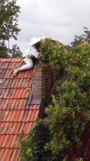 1.7M views · 5.8K reactions | Kiến Trúc Blog - Architecture & Design Ideas on Reels | Facebook