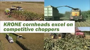 1.2K views · 67 reactions |  Does your corn head excel in down  corn, or less than ideal conditions? Get BiG advantages with the EasyCollect corn-head! Talk to your local Krone dealer to learn more. | KRONE Agriculture | Facebook