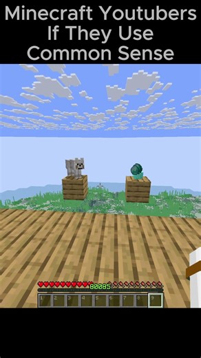 Minecraft Youtubers When They Use Common Sense