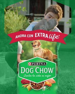 ¿Ya conoces los beneficios del nuevo Dog Chow® ahora con Extralife®? Juntos le damos una mejor calidad de vida a tu perro. | Purina Dog Chow Centroamérica