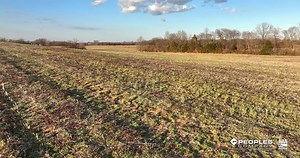 28 reactions | UPCOMING FARMLAND AUCTION!! - 198.75 acres m/l of tillable farmland in Saline County, Illinois. + Offered as two tracts + Tract 1: 80.75 acres m/l, 79.8 FSA cropland acres (PI of 100.7) + Tract 2: 118 acres m/l, 113.51 FSA cropland acres (PI of 104.5) Auction Details: ️ Friday, April 29th  10:00 AM  George Hart American Legion Hall Contact #PeoplesCompany Licensee Steve Bruere Listing #16102 | https://bit.ly/3uemra1 | Peoples Company | Facebook