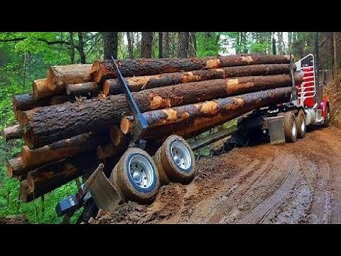 Extreme Dangerous Biggest Logging Wood Truck Driving Skill Heavy Equipment Loading Climbing Working