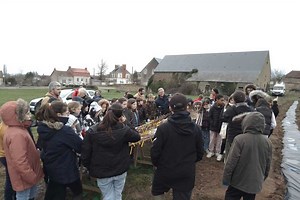 Une haie bocagère plantée