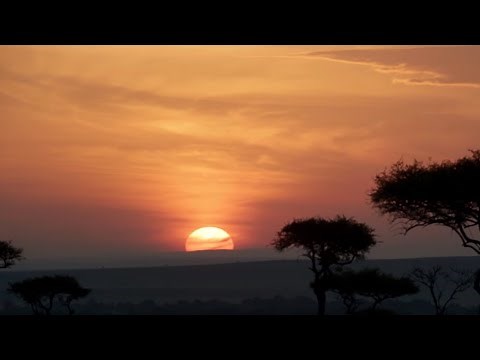 The Lion King Score (1994 and 2019) - Continuous Mix