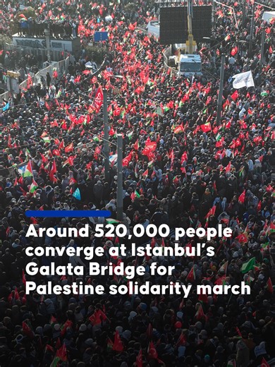 Istanbul Palestine Solidarity March on New Year's Day