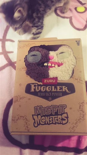 Discover the Fun with Misfit Fugglers and Kitty