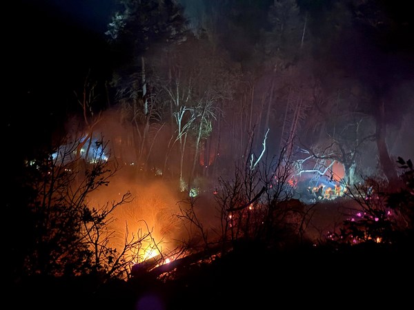 Cal Fire crews contain vegetation fire in Pollock Pines