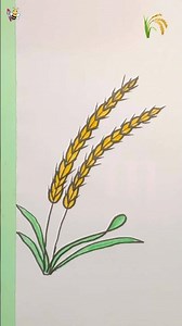 How to draw wheat 🌾 easily #shorts #art #drawing #wheat