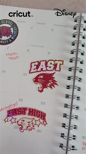 Cricut on Instagram: " What team? Wildcats!  These DIY High School Musical stickers are giving us all the nostalgia and school spirit vibes. Perfect for jazzing up your water bottle, laptop, or planner. ©Disney"