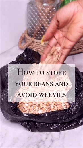 How to Store Beans Without Weevils: Effective Methods